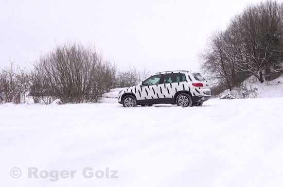 Schneetiger in seinem Element